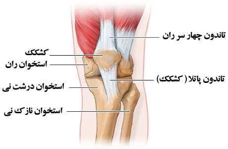 پارگی های تاندونی